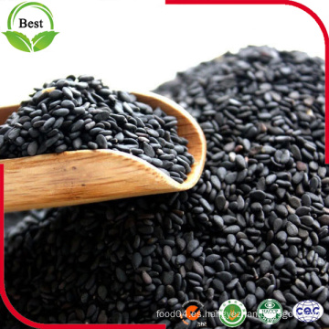 Mayorista Raw Black Sesame Seeds